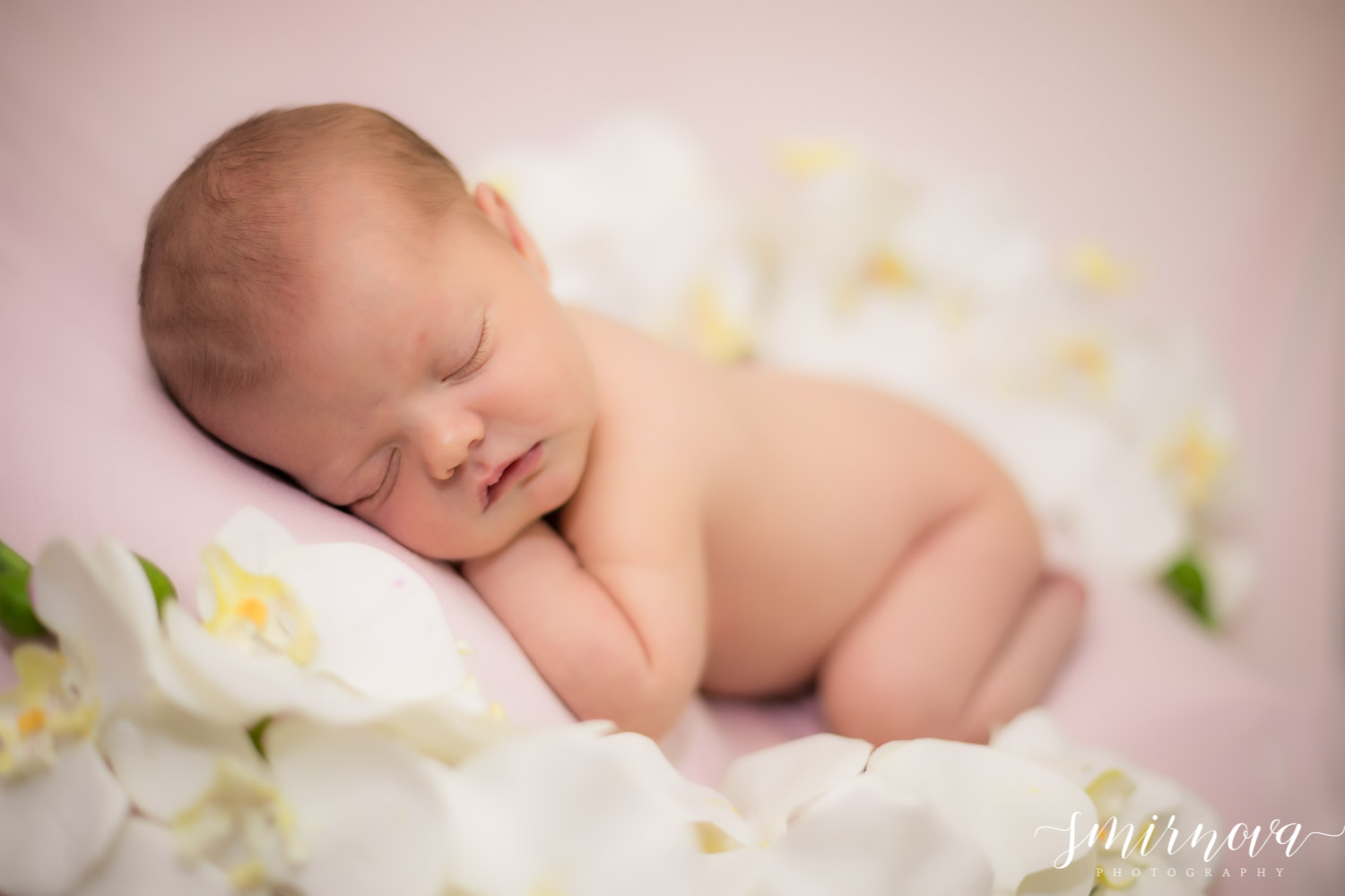newborn orchid photography Smirnova Photography by Alyssa
